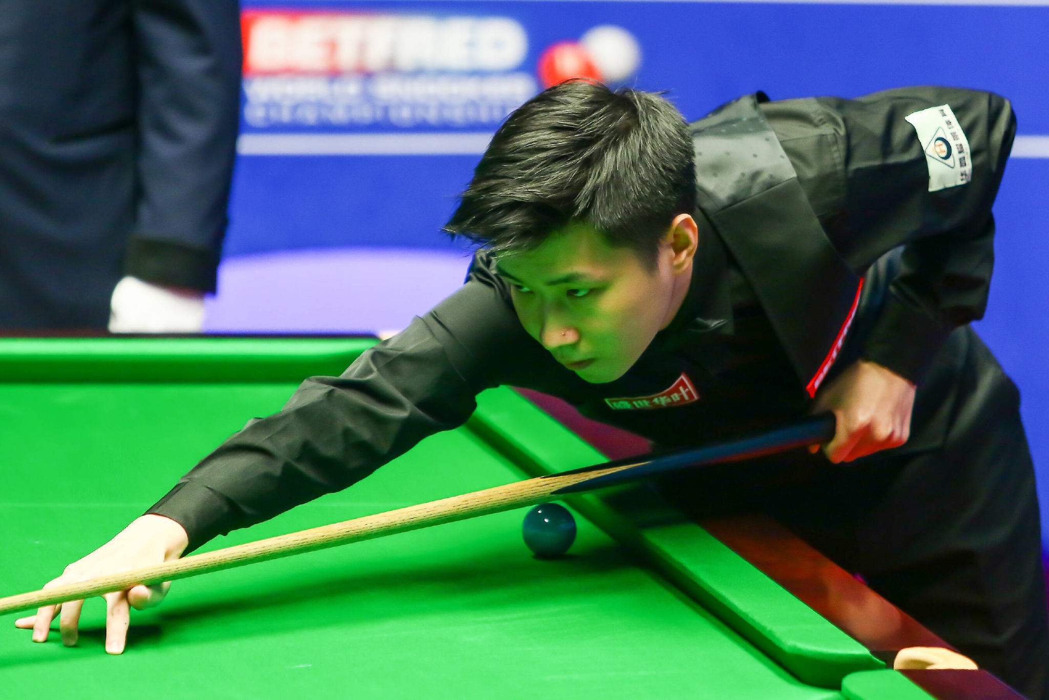 择的球员 择的球员