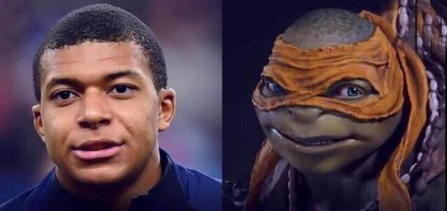 概率将被稳 概率将被稳